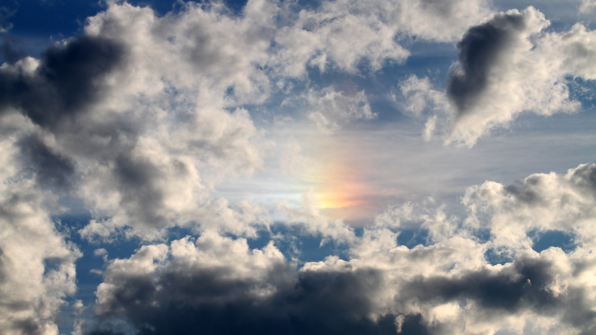 米兰体育官网-体育新闻中心深化体育赛事数据可视化应用研究，体育赛事新闻报道