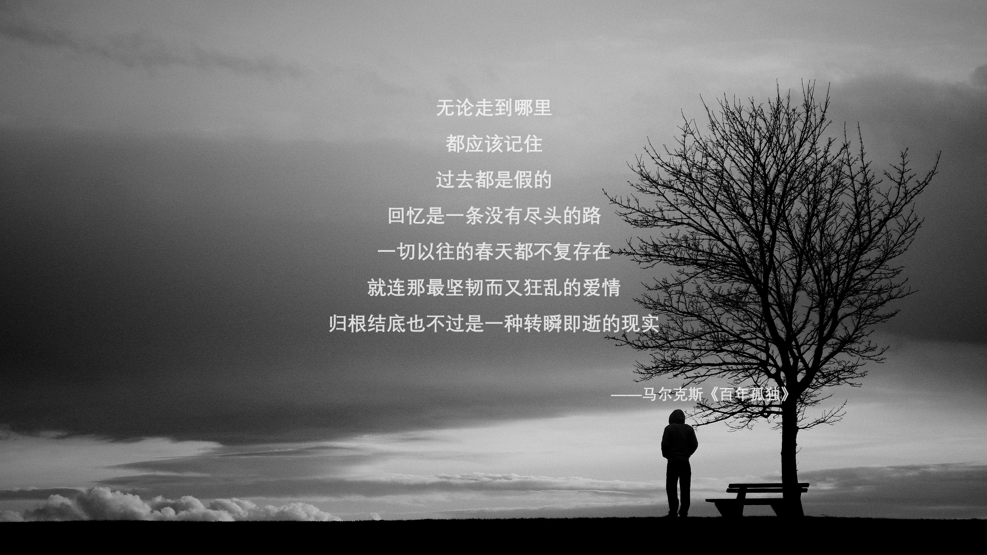 MILANSPORT入口-波兰队未来展望:如何借助技术创新突破乒乓传统打法局限,波兰乒乓球联赛