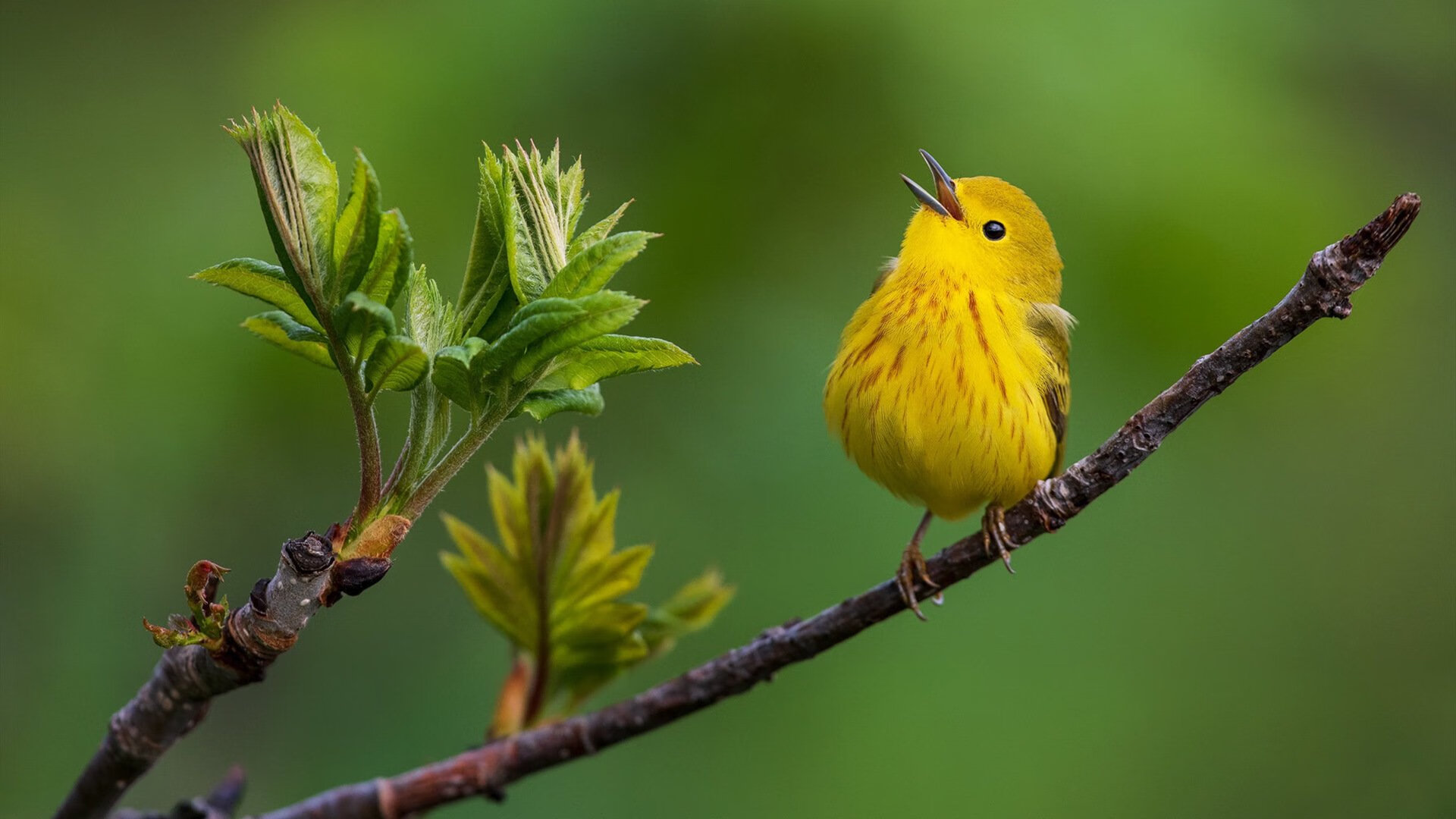 米兰体育APP-球员在高压节奏下如何降低失误风险,球员在高压节奏下如何降低失误风险