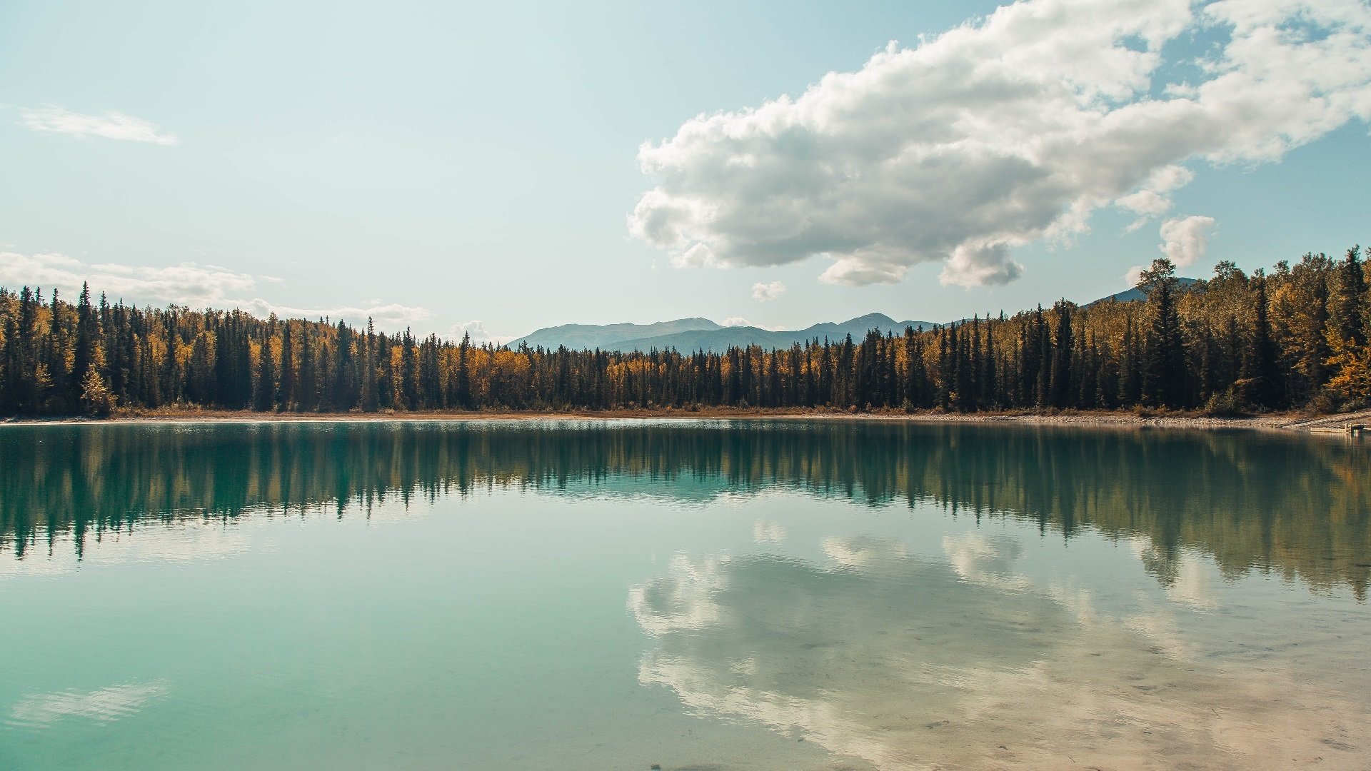 米兰体育APP-球队内部管理结构调整激发更多潜力,球队管理工作人员