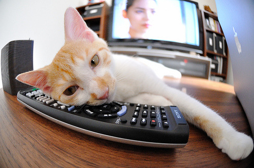 MILANSPORT下载-职业球员心理素质培养滞后,球员的自我修养