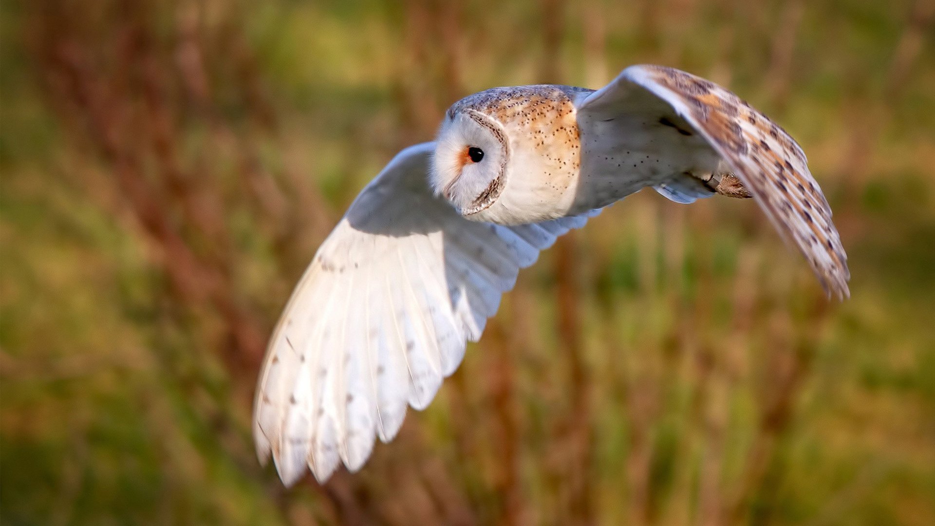 详细阅读:米兰体育官网-乌干达男篮在非洲锦标赛中奋战,追逐奥运梦想,乌干达篮球甲级联赛 米兰体育官网-乌干达男篮在非洲锦标赛中奋战,追逐奥运梦想,乌干达篮球甲级联赛