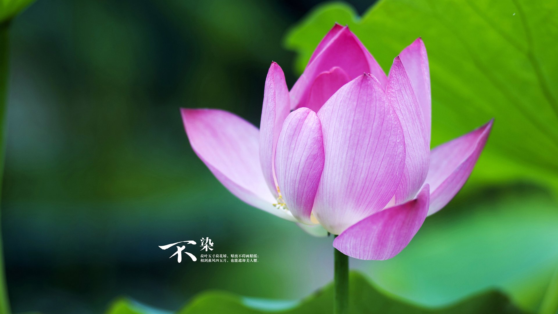 米兰体育官网-乌干达男篮在非洲锦标赛中奋战,追逐奥运梦想,乌干达篮球甲级联赛