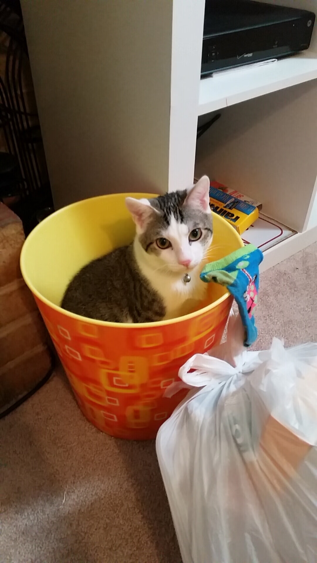 米兰体育官网-奥运会男篮预选赛轮番上演，各国球队力争奥运门票，奥运会男子篮球预选赛