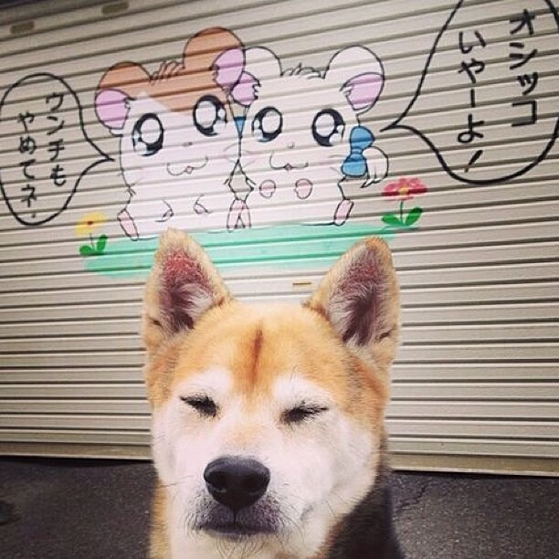 米兰体育-女篮国手海外高光表现激励更多年轻女孩投身篮球，女子篮球高手