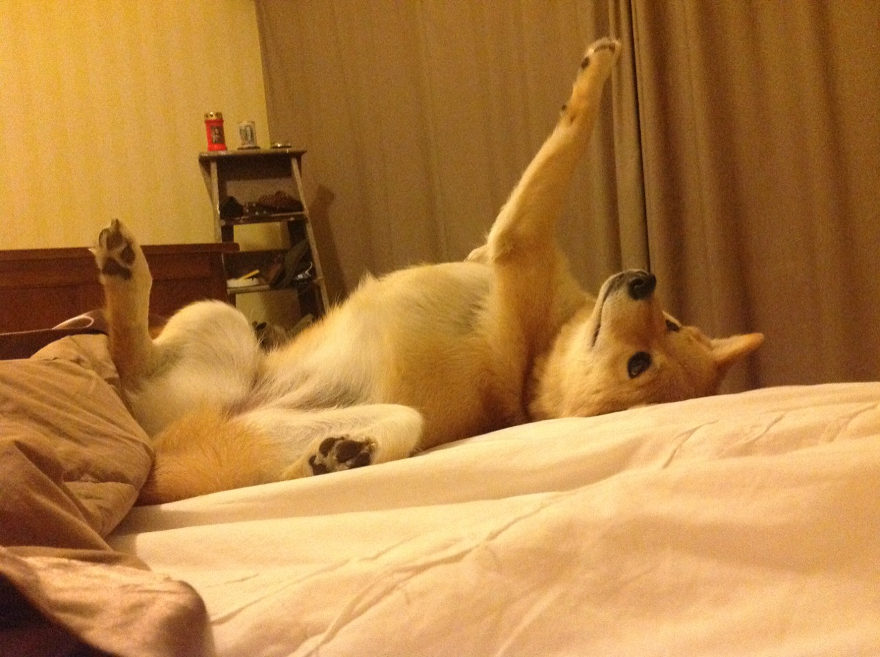 -恩比德再度砍下三十加十七展现 MVP 风采，恩比德视频集锦