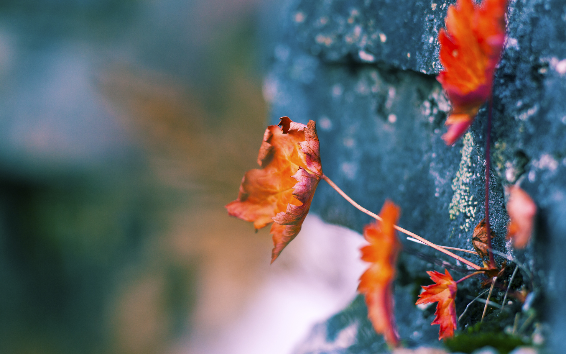 -绿色节能足球场馆在多个城市落成,推动绿色体育发展,绿色节能设施有哪些