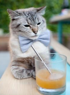 米兰登录入口-美洲杯明星争锋:场上技艺与战斗精神的交融,美洲杯人气