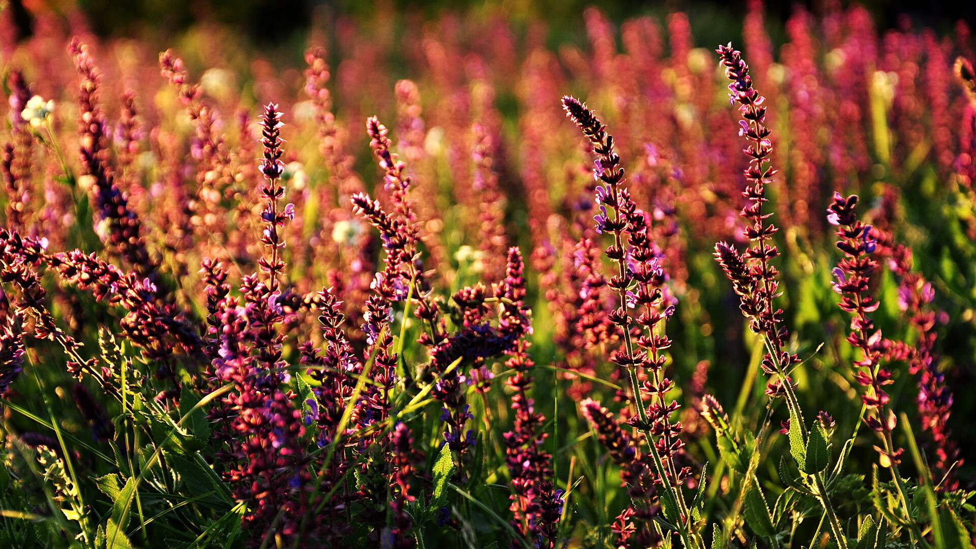 -谷爱凌谈梦想称不断突破才有成长，谷爱凌的努力